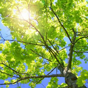 中文字幕无线码中文字幕下载
